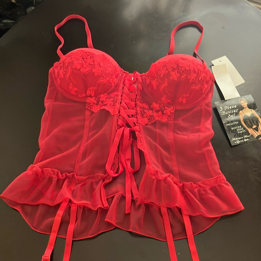 Seductive Wear by Cinemia Etoile Lingerie Corset Top and Stockings